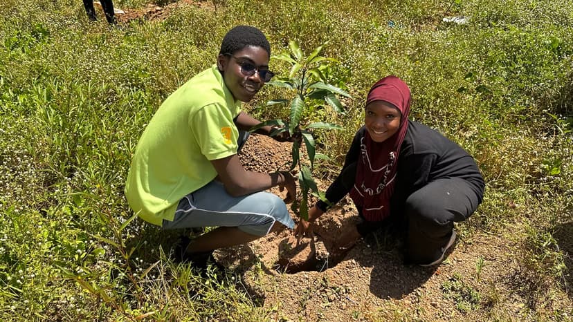 Burkina Faso Tree Planting Initiative