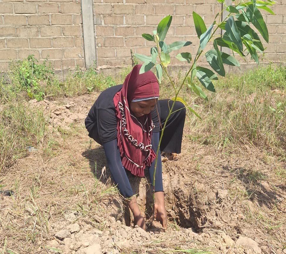 Burkina Faso Tree Planting Initiative - Image 1