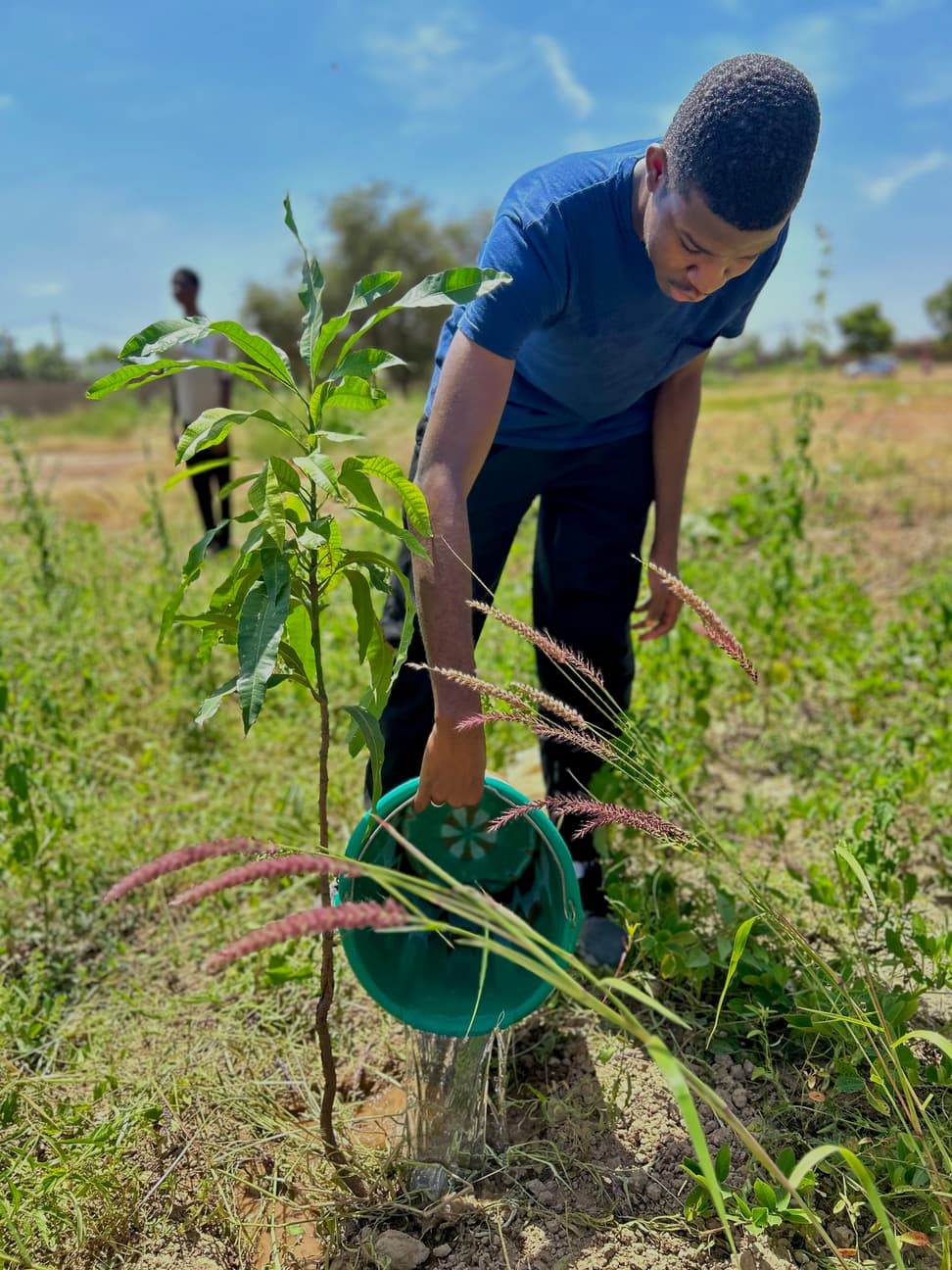Burkina Faso Tree Planting Initiative - Image 4